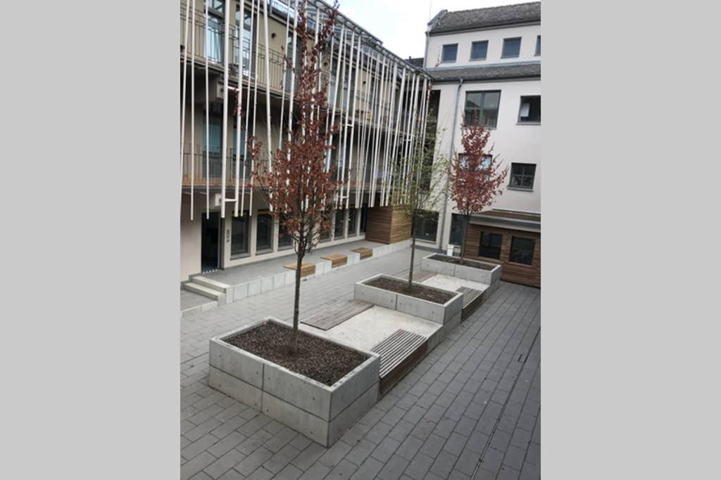 Central, Modern, Mit Grossem Balkon Checkin123 Wiesbaden Exteriör bild